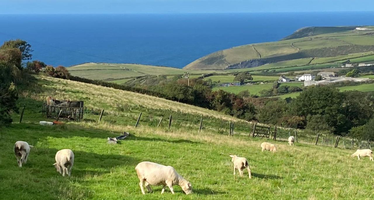 Polrunny Farm Sloe Cottage With A Sea View Boscastle Esterno foto