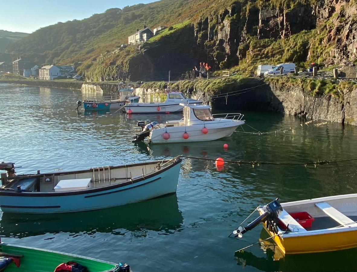 Polrunny Farm Sloe Cottage With A Sea View Boscastle Esterno foto