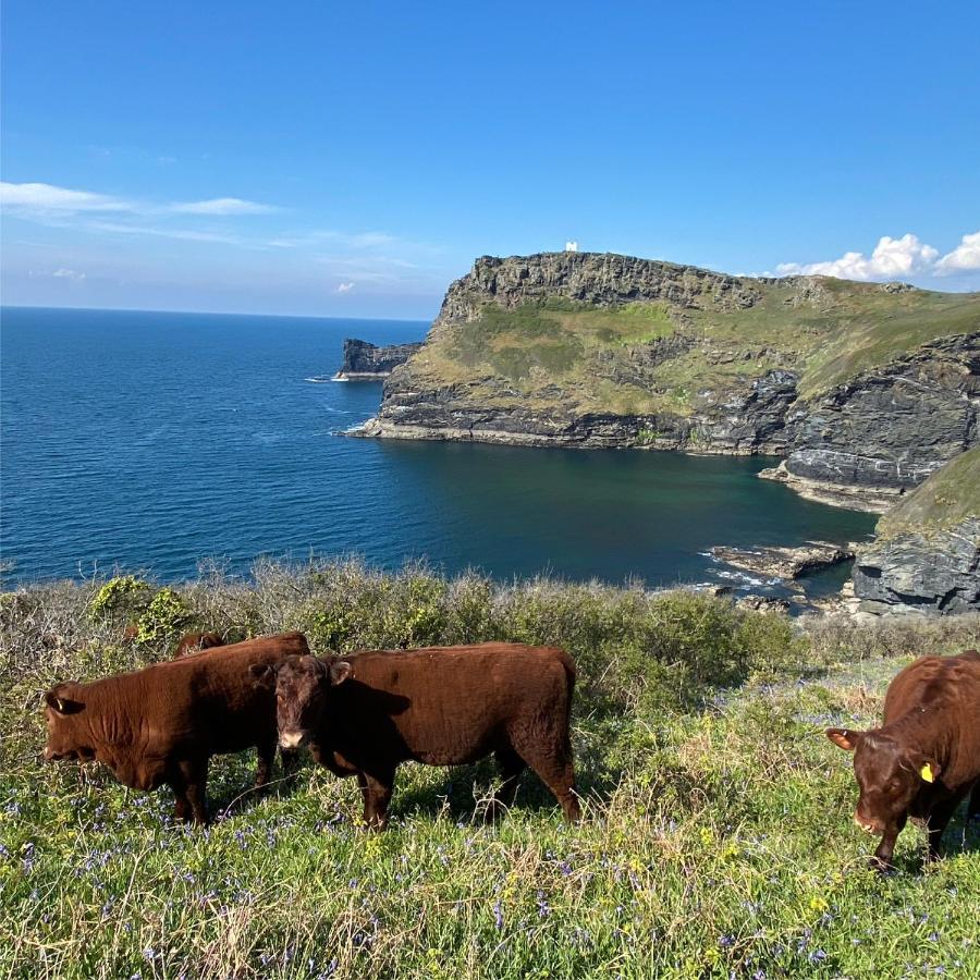 Polrunny Farm Sloe Cottage With A Sea View Boscastle Esterno foto
