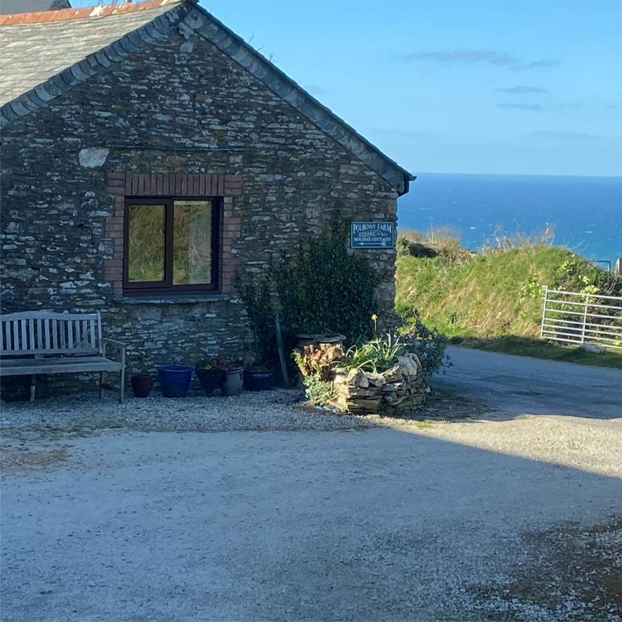 Polrunny Farm Sloe Cottage With A Sea View Boscastle Esterno foto