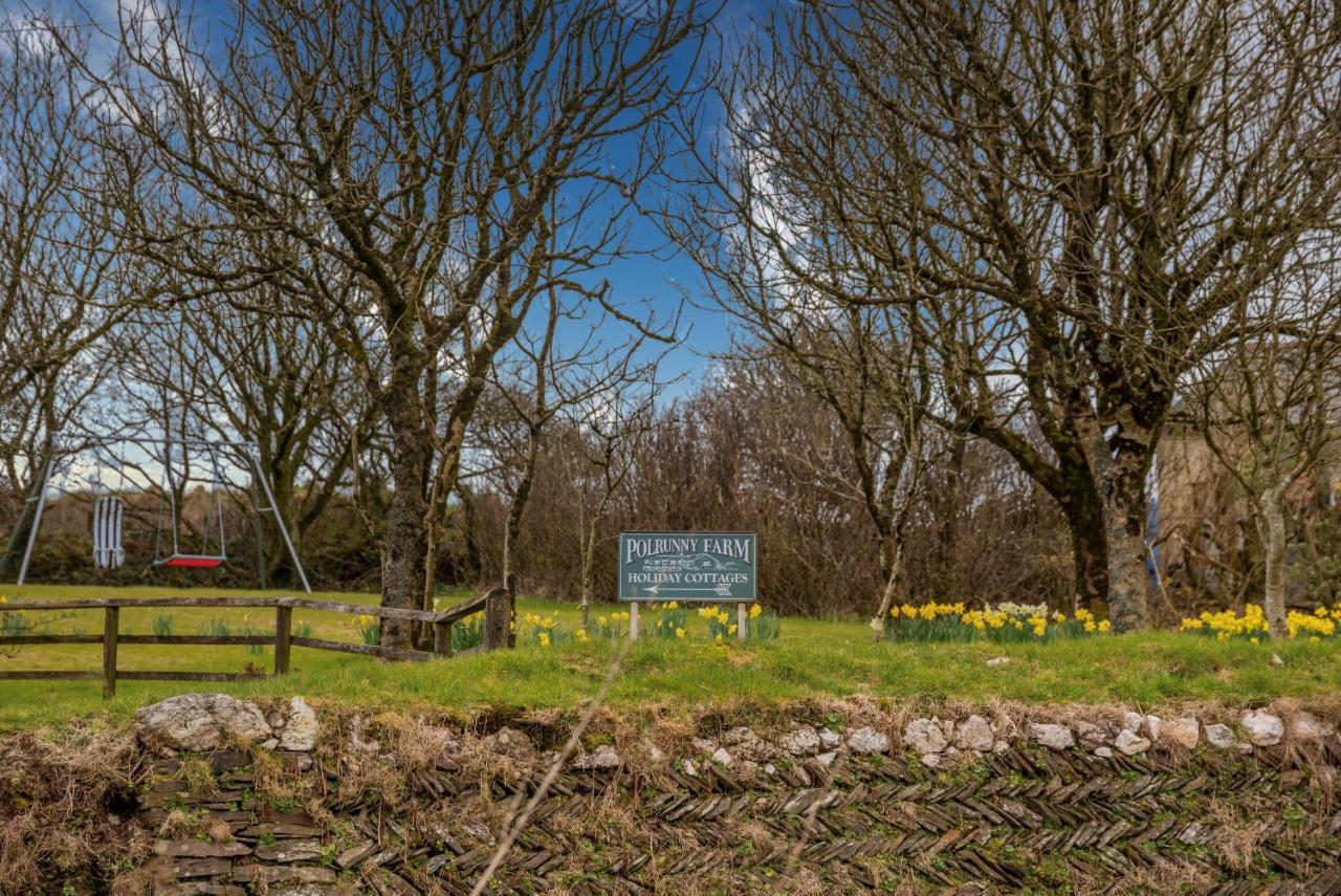 Polrunny Farm Sloe Cottage With A Sea View Boscastle Esterno foto
