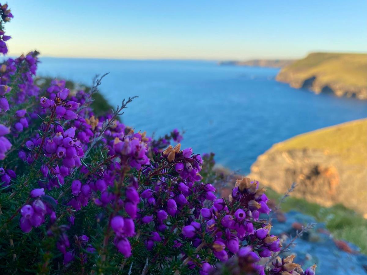 Polrunny Farm Sloe Cottage With A Sea View Boscastle Esterno foto