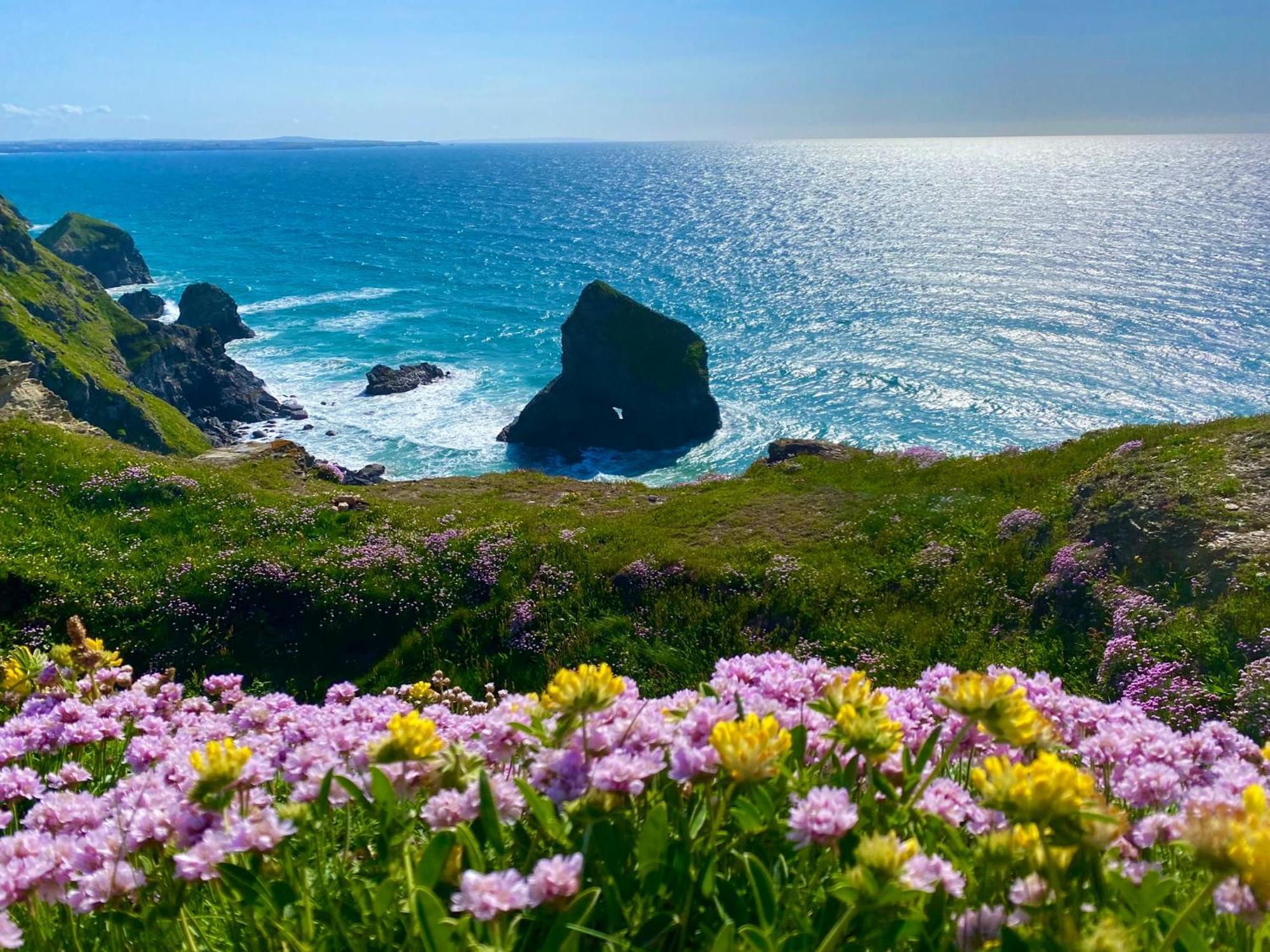 Polrunny Farm Sloe Cottage With A Sea View Boscastle Esterno foto